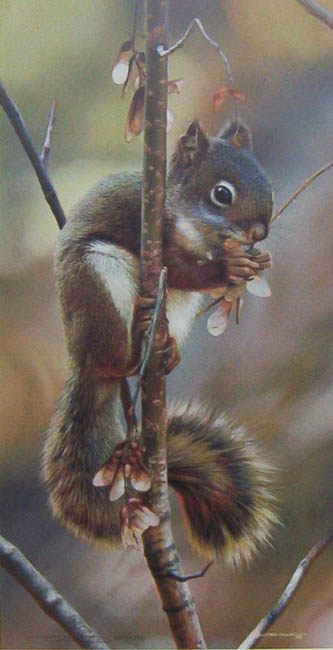 Reproductions of Carl Brenders paintings Fast Food-Red Squirrel Reproductions of Carl Brenders paintings Fast Food-Red Squirrel